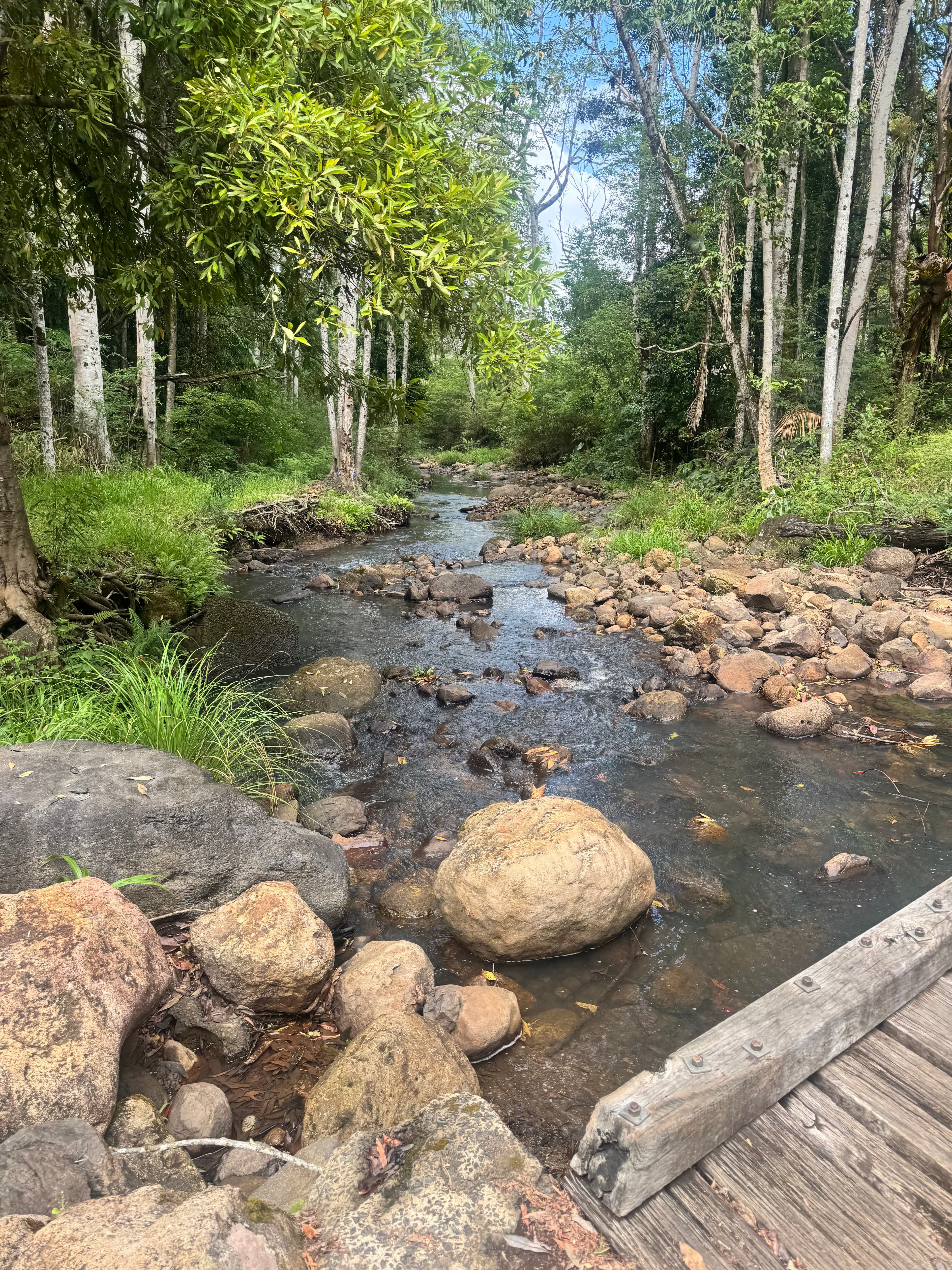 Stop we can’t and ask why not content image