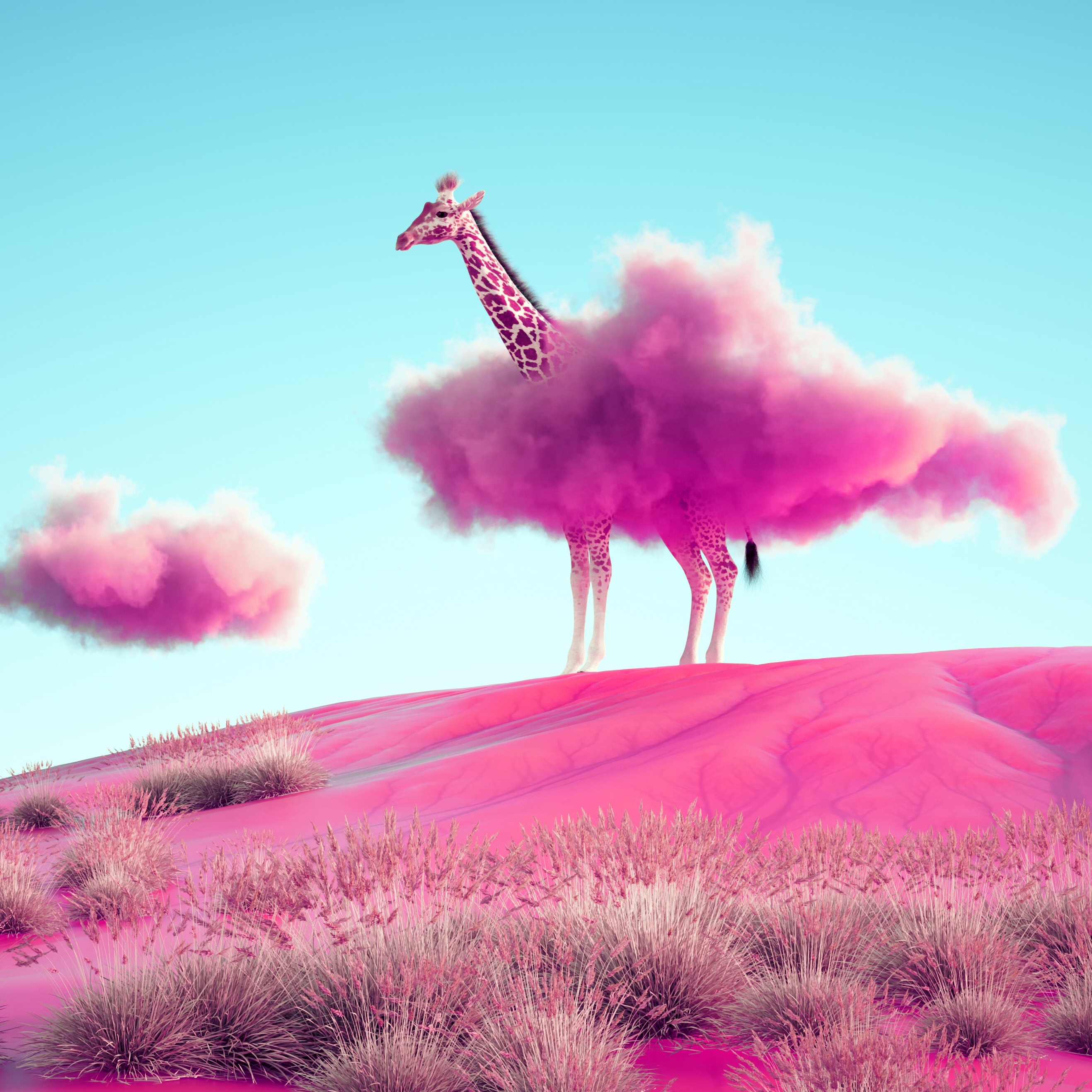 Disrupt the Ordinary