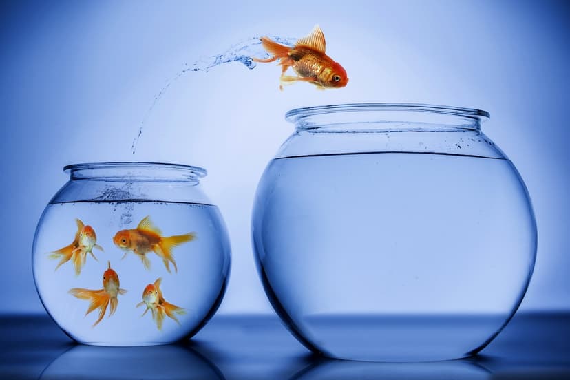 Understanding Neurodiversity in Early Childhood Practice event image