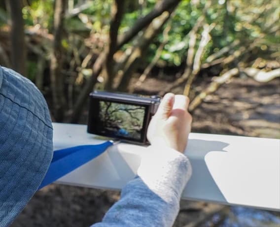 The Language of Photography event image