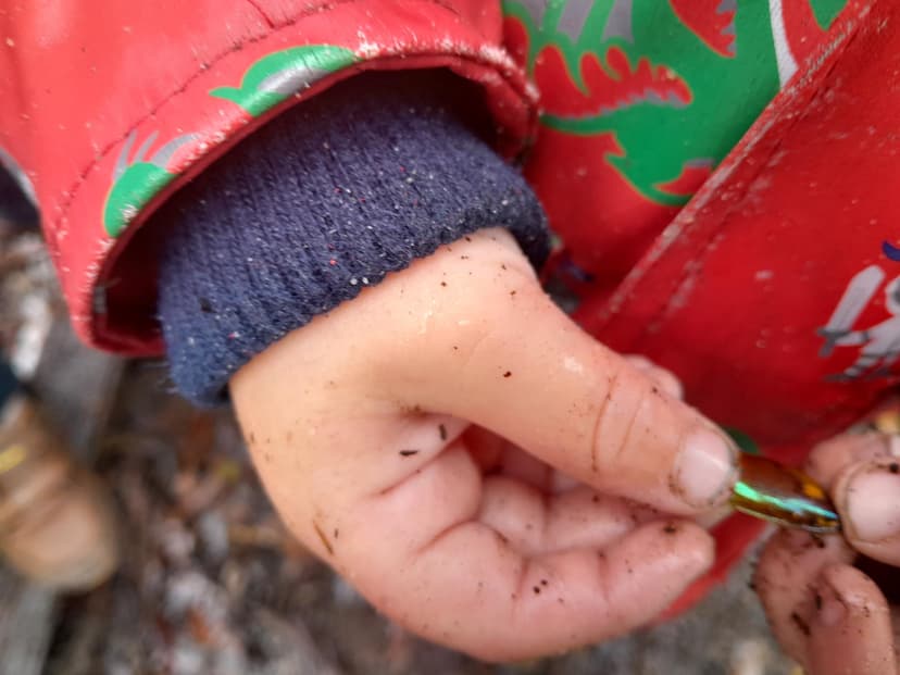 Creating a Bush Program event image